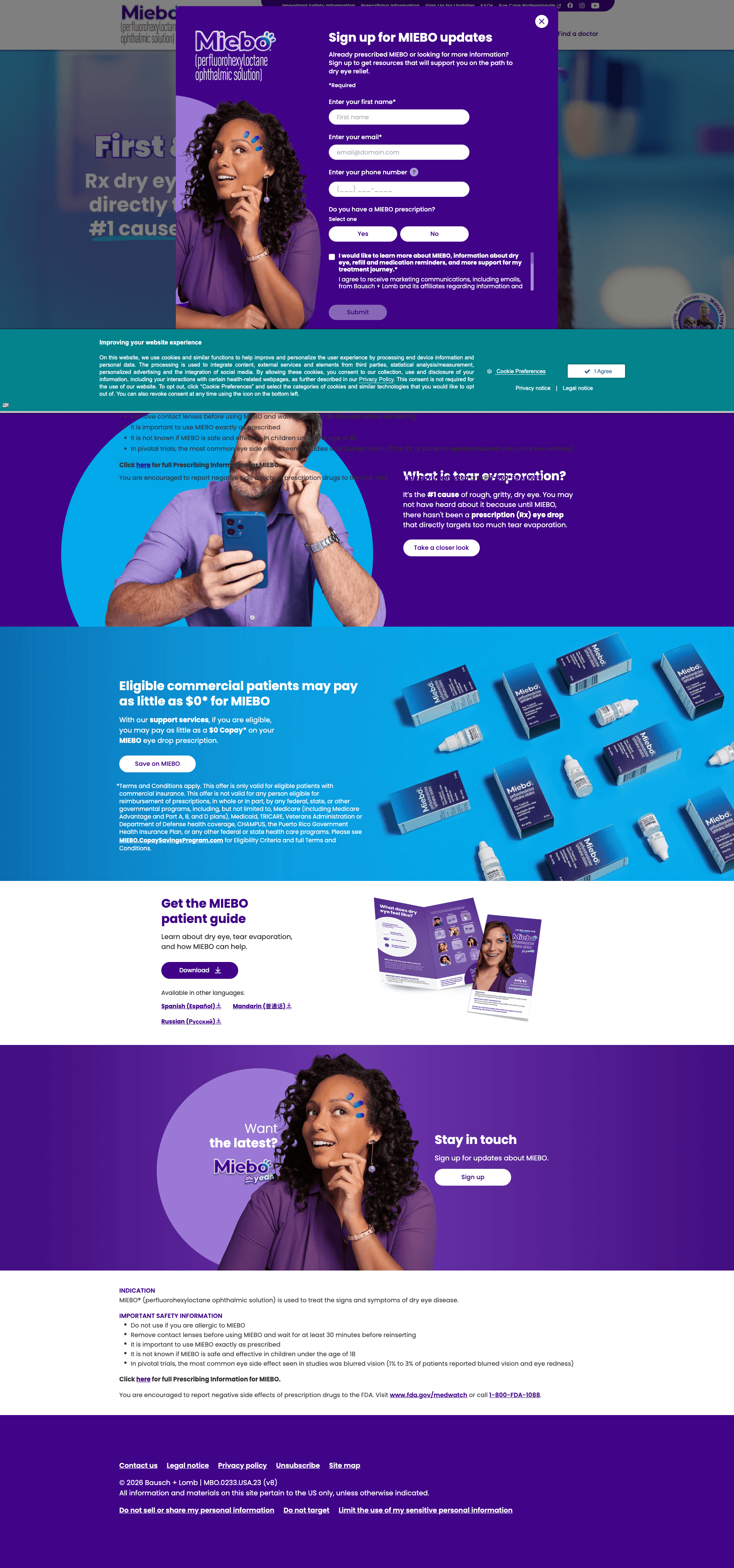 Miebo launched site — desktop