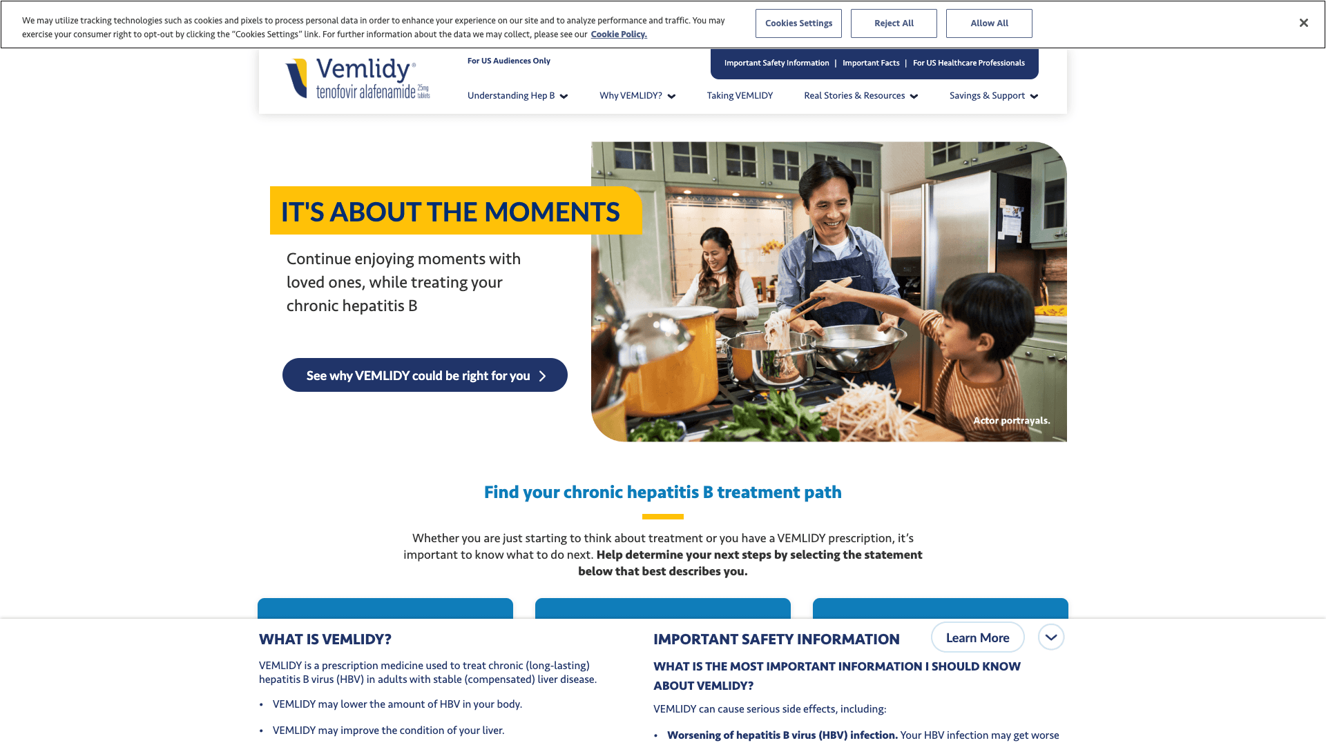 Vemlidy desktop